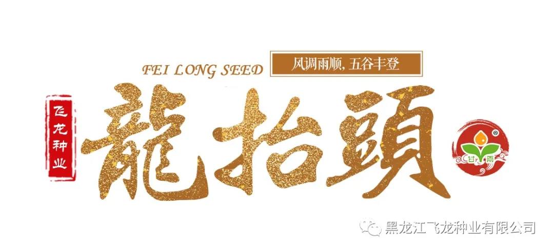 1640656513101740.jpg 2.jpg