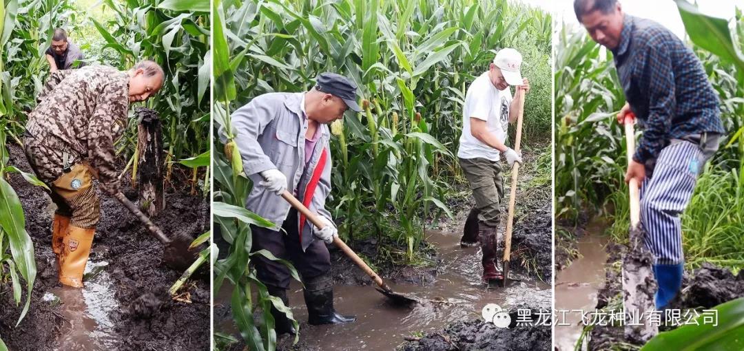 1640677919664884.jpg 16.jpg