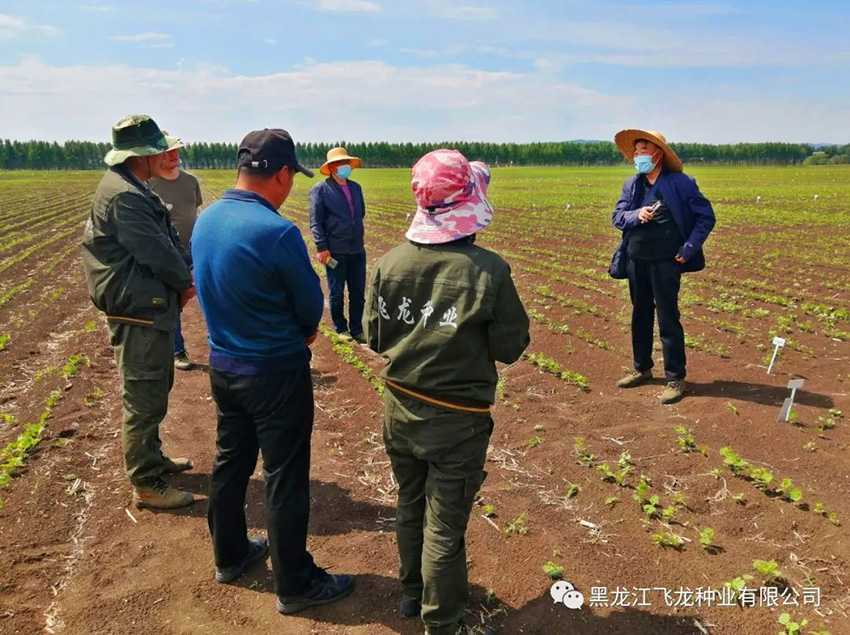 1656469346555798.jpg 12.jpg